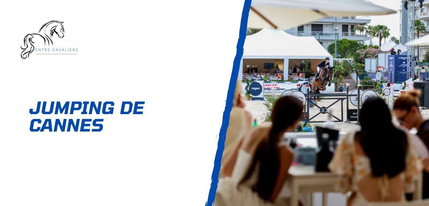 découvrez les meilleures techniques pour réussir vos sauts en 2025 et améliorer vos performances grâce à des conseils experts et des méthodes innovantes.