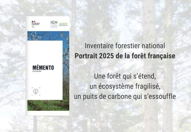 découvrez les meilleures astuces pour réussir votre inventaire et optimiser la gestion de vos objets en 2025. conseils pratiques et stratégies efficaces pour une organisation parfaite.