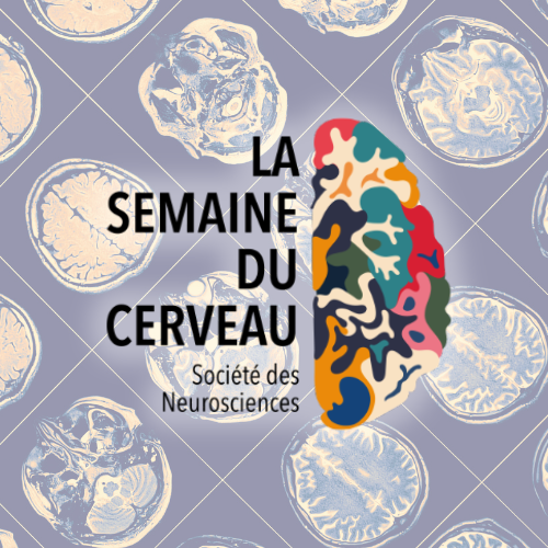 découvrez comment stimuler votre cerveau en 2025 grâce à des énigmes captivantes et innovantes pour améliorer votre concentration, mémoire et logique.